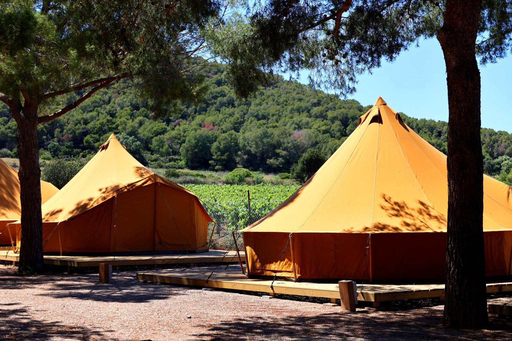 Glamping Holacamp Fun *